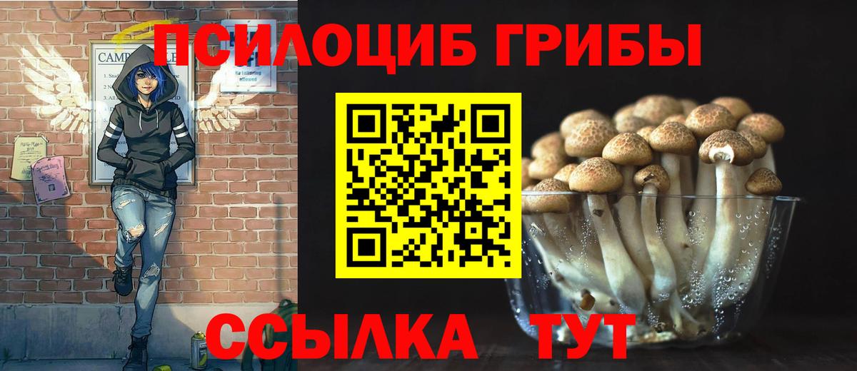 Псилоцибиновые грибы GOLDEN TEACHER Каменск-Шахтинский
