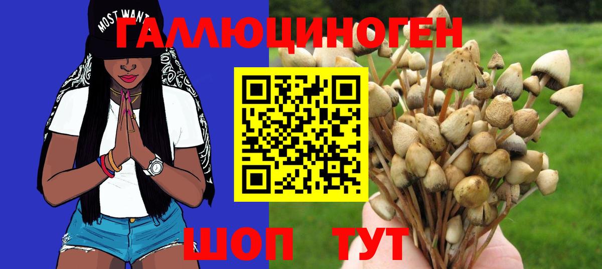 Псилоцибиновые грибы Magic Shrooms  Галлюциногенные грибы Psilocybe  Каменск-Шахтинский  Вход с VPN 